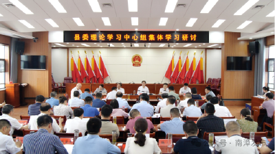 罗兴斌：真学真悟见行见效，扎实做好防风险保安全护稳定促发展各项工作 