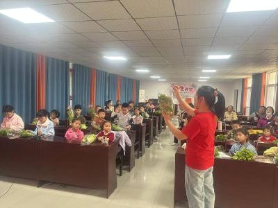 ​清河管理区王家坡社区：生菜藏爱意 　“生财”送祝福