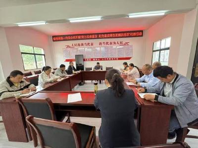 板桥镇开展“四级人大代表行动活动周”专题活动