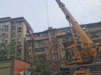 苗圃社区：处置枯树隐患 守护居民安全