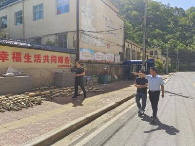 薛坪镇：人大代表履职担当 同心共建美丽路网