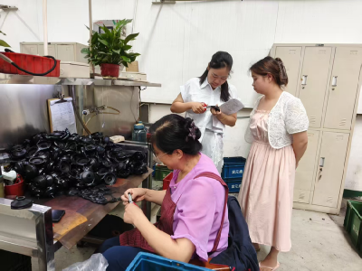 县助残爱心企业联盟：为残疾人撑起多维度的关怀网络