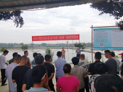 科技赋能农业绿色生产　侧深施肥助力减量增长