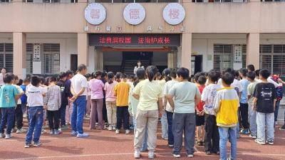 张营中心小学：法典润校园 法治护成长