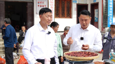 襄阳南漳：“老支书”变身“新网红” “土货”成“俏货”  