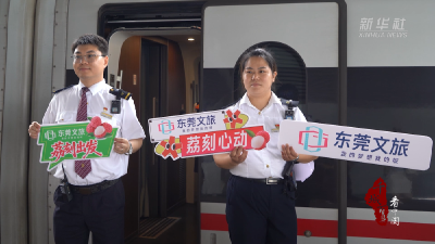 千城百县看中国｜东莞虎门：邀请高考学子来莞品荔枝   