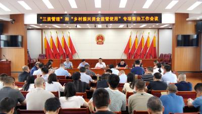 我县召开“三资管理”和“乡村振兴资金监管使用”专项整治工作会  