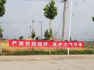 武安镇：人大代表“三到位”　织密禁烧防护网