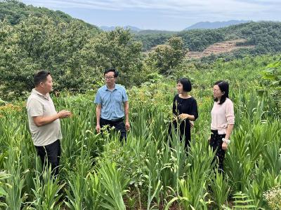 县林业局：精准申报资金“活水”　激发林下经济“活力”