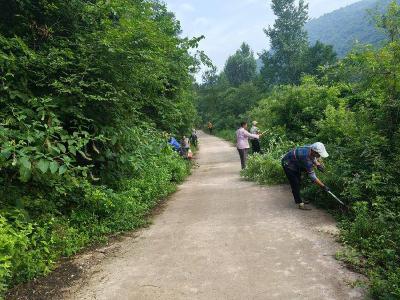 陆坪村：党群同心绘就乡村振兴新画卷
