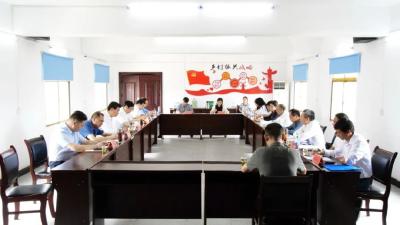 省政协副主席张柏青到南漳调研乡村振兴工作 