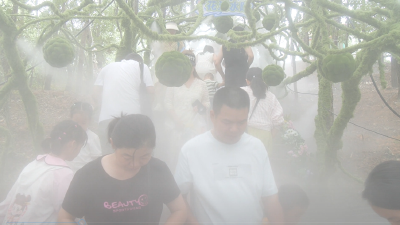 襄阳野生动物世界：开暑期经济“凉方”　掀避暑游玩热潮  