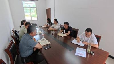 县领导到城关镇木瓜园村调研软弱涣散党组织整治情况
