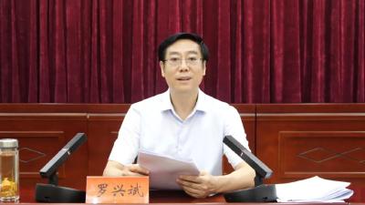 罗兴斌：扎实开展学习教育“回头看”，将整改整治成效转化为高质量发展实效 