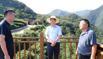 罗兴斌在长坪镇调研时强调：做强特色产业做优产品品牌做活乡村业态，全力推动实力产业提质升级