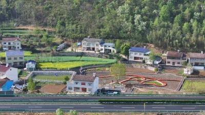 绿野织锦谱新篇——黄潭洲美丽乡村建设的生态觉醒与振兴实践