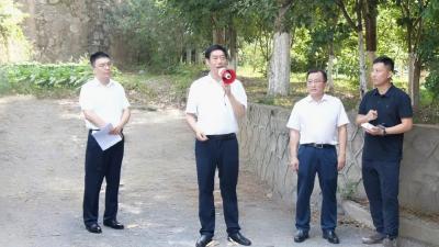 罗兴斌调研督导“美丽路网”建设工作时强调：高标准实举措推进路域环境综合整治，为全域旅游和乡村振兴提供有力支撑 