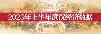 从萌芽到繁盛，武汉民企总量突破115万家——大城奋进·武汉民营经济高质量发展观察③ 