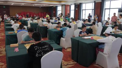 我县举办“东方明珠杯”2025年象棋公开赛  