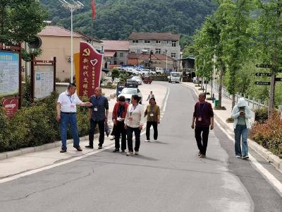 李庙镇：人大代表齐聚力　美丽家园焕新颜