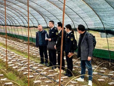 我县专利侵权纠纷行政裁决工作实现突破性进展