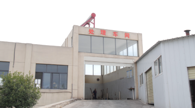 小小“吃货”黑水虻 年吃餐厨垃圾万余吨  