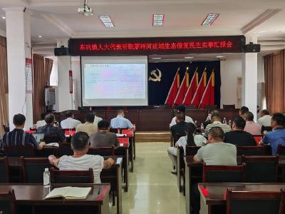 ​东巩镇人大主席团专项监督茅坪河流域生态修复工作