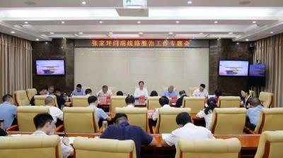 罗兴斌：抓紧抓实张家坪闫胡线路整治工作，加快推动乡村振兴“四项行动”成势见效 