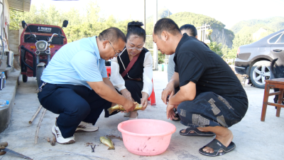 襄阳南漳：鲈鱼基地突发翻塘 专家救治及时止损  