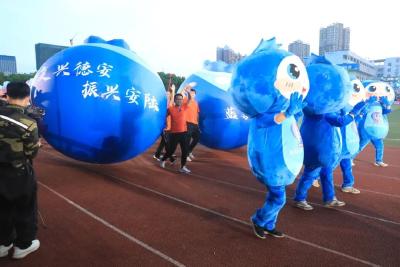 乡超点燃足球梦，李白故里竞风流——湖北首个“乡超”联赛在安陆火热进行 
