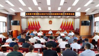 罗兴斌：以更高标准和更实举措，推动群众身边不正之风和腐败问题集中整治工作走深走实 