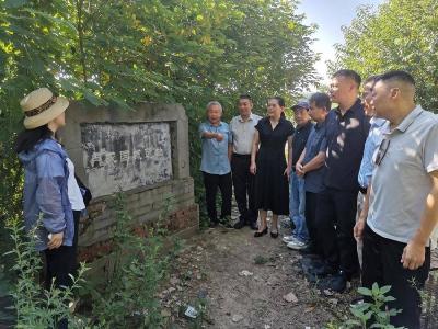县政协开展卢戎国文化探源调研活动