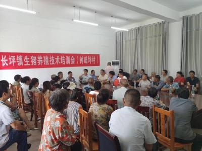​长坪镇：精准培训强技能　实用服务促发展