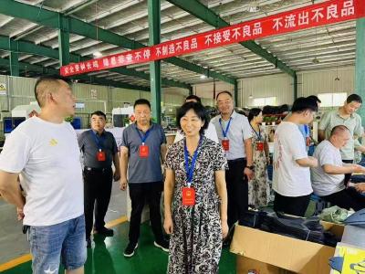 ​县领导带队视察民生实事项目完成情况