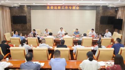 罗兴斌主持召开县委巡察工作专题会强调：抓实巡察“后半篇文章”，为经济社会发展提供坚强政治保障 