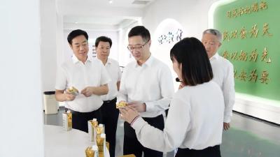 宁咏到南漳调研时强调：发挥统战优势 以实际行动助力支点建设
