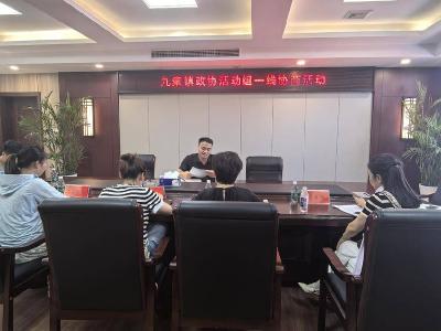 ​九集镇政协活动组：一线协商办实事 凝聚共识解民忧