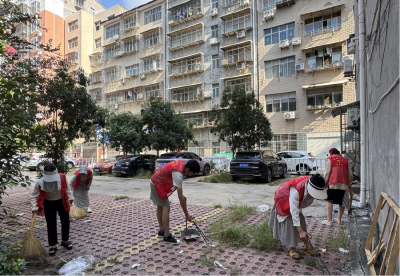 ​苗圃社区筑牢蚊媒传染病防控屏障