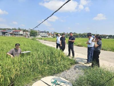 省植保总站到我县调研“一喷多促”政策落实等工作