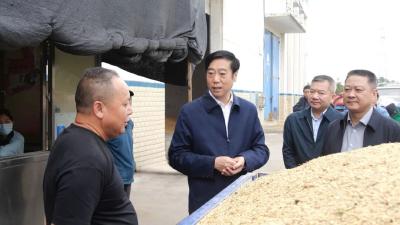 罗兴斌调研秋粮收购工作时强调：抢农时强服务，确保秋粮颗粒归仓秋播应种尽种 