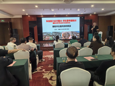 全县羊肚菌产业培训班开班