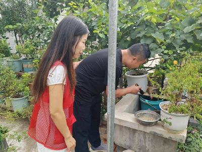 ​玉印社区：开展防蚊病媒监测 织密健康防护网