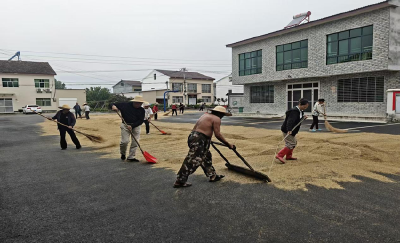 田家营村：暴雨突然来袭　邻里自发“抢场”