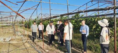 市农业农村局专家组验收我县地膜科学使用回收项目