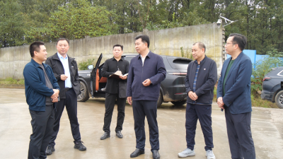 县领导调研全县生态环境保护工作  