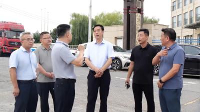罗兴斌在九集镇和经济开发区调研时强调：扎实开展乡村振兴“四项行动”，持续推动城乡融合发展 