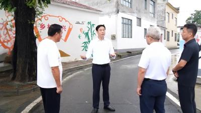 罗兴斌调研督导和美乡村建设时强调：以乡风文明建设为抓手，全面提升乡村治理水平