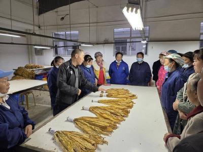 县烟草专卖局：“每日课堂”助力收购提质增效