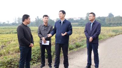 罗兴斌调研秋收秋播生产时强调：抢抓农时科学施策，全力保障秋粮颗粒归仓秋播种满种足 