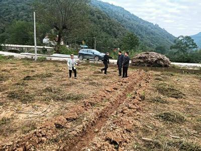 长坪镇：全力攻坚抢农时　推进秋播保丰收